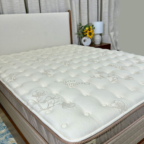 Goldenpedic Plush Pillow Top